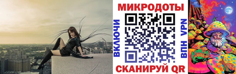 Псилоцибиновые грибы Psilocybine cubensis  Верхний Тагил 